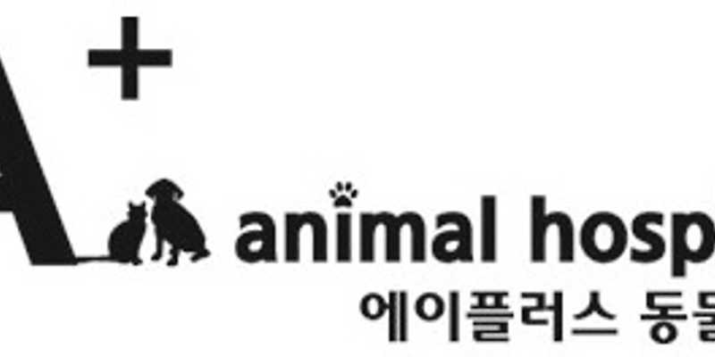 에이플러스 동물병원