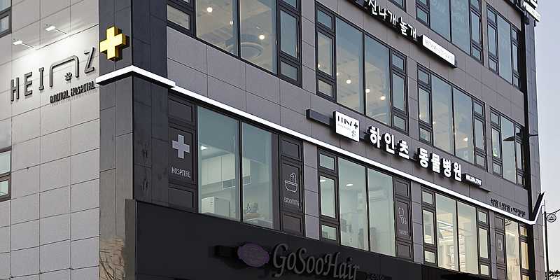 하인츠동물병원