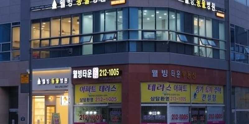웰빙동물병원