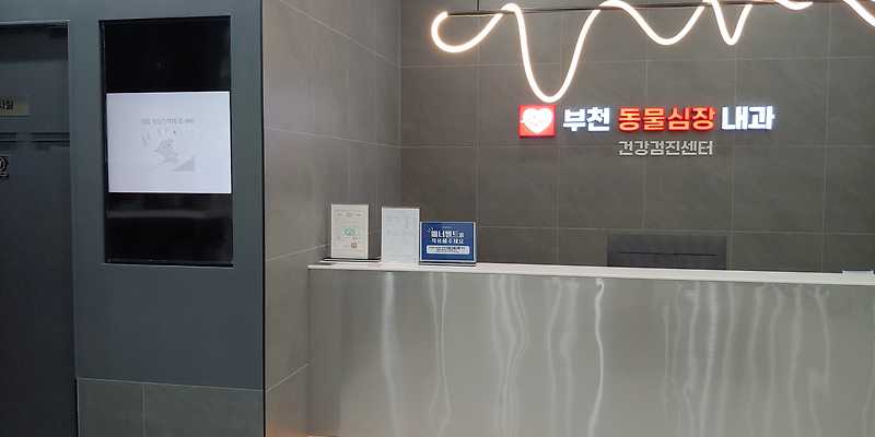 부천 동물심장 내과 건강검진센터