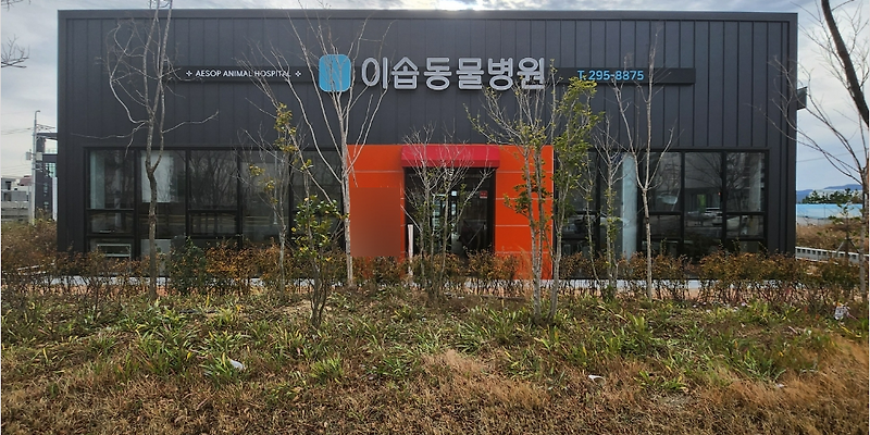 이솝동물병원