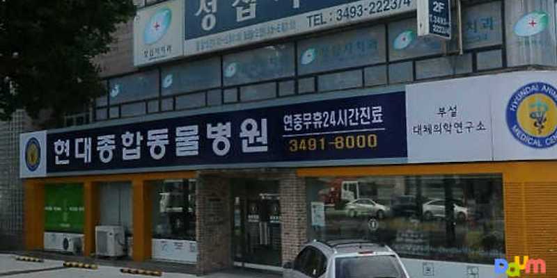현대종합동물병원