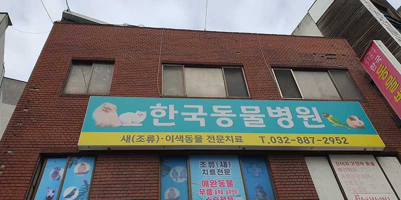 한국동물병원