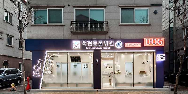 백현 동물병원