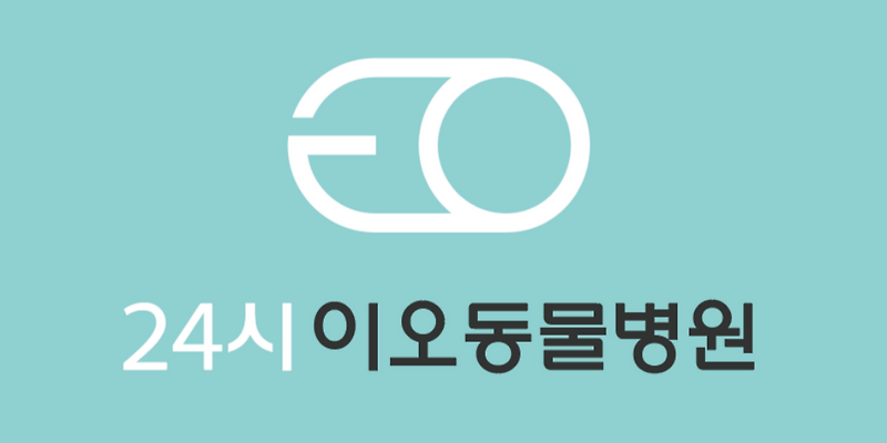 24시 이오동물병원
