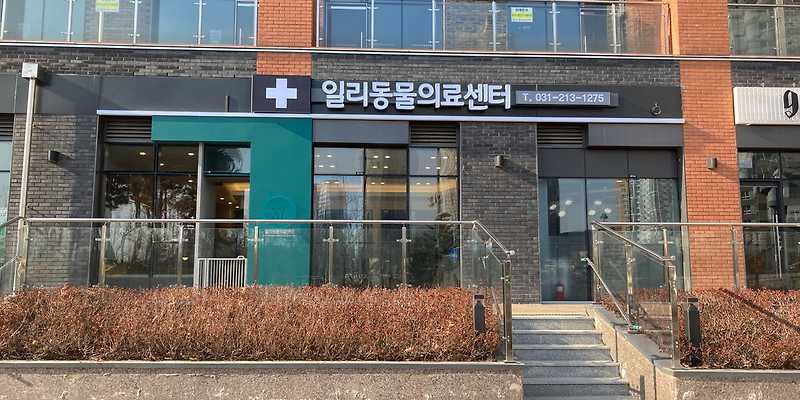 일리동물의료센터