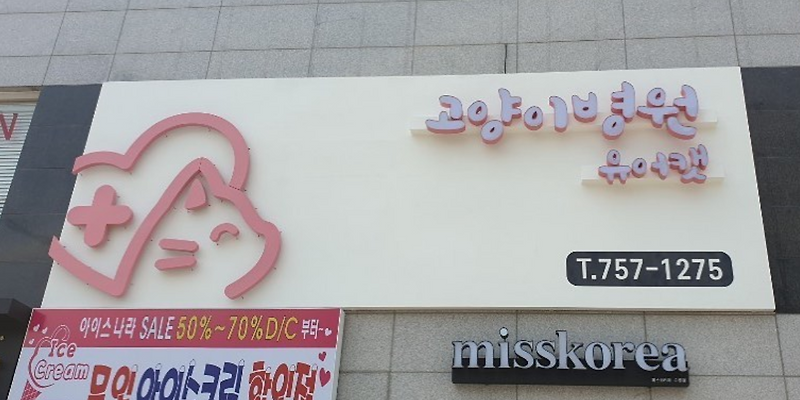 유어캣 고양이병원