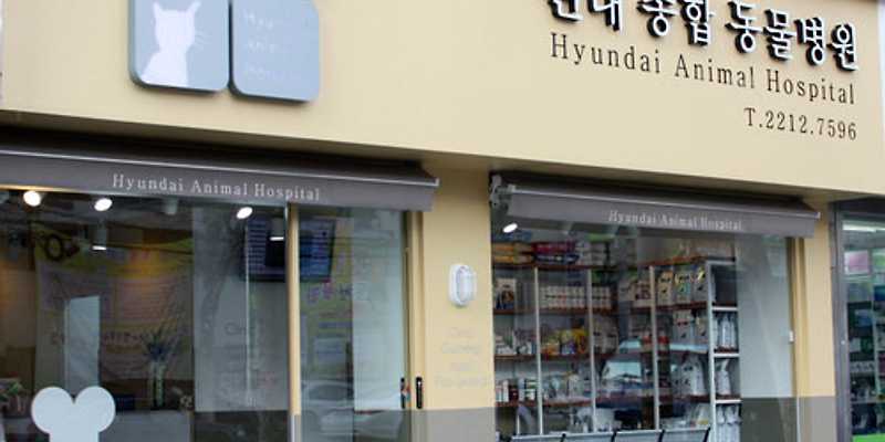 현대종합동물병원