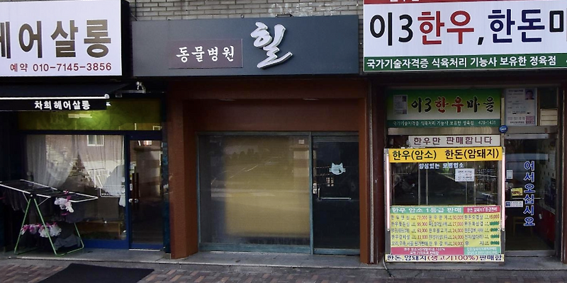 힐동물병원