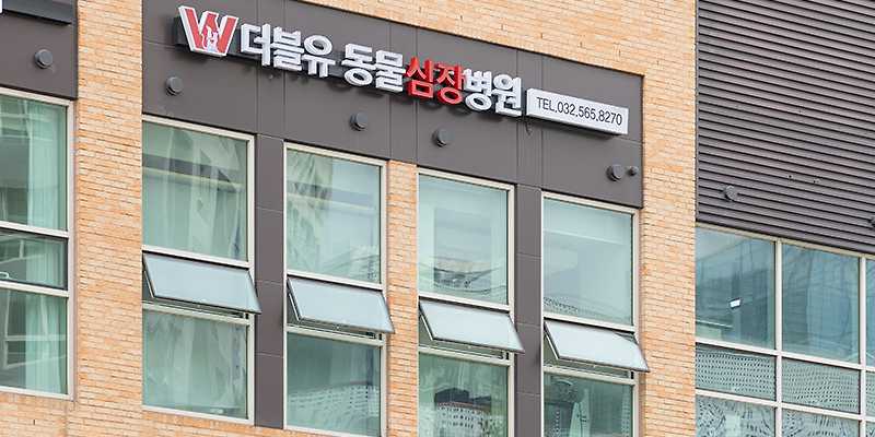 더블유동물심장병원