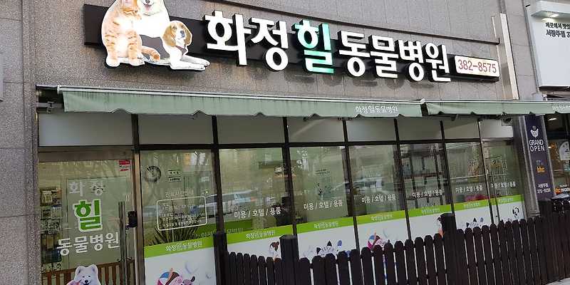 화정힐동물병원