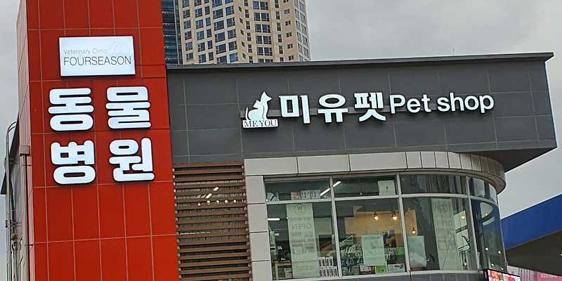 포시즌 동물병원