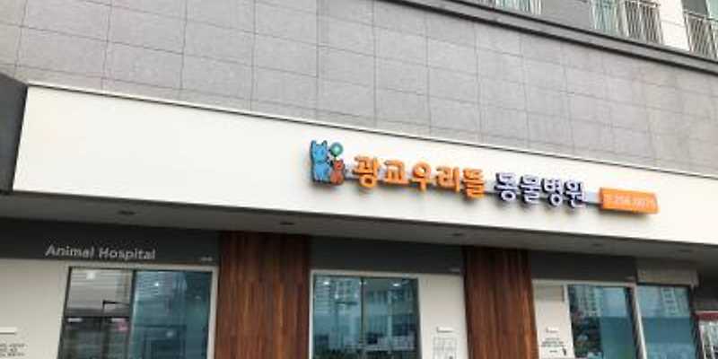 광교 우리들동물병원