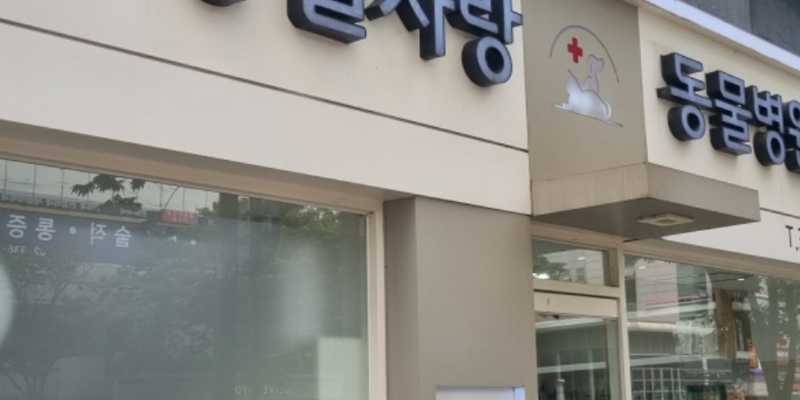 동물사랑동물병원