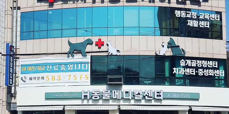 H동물메디컬센터