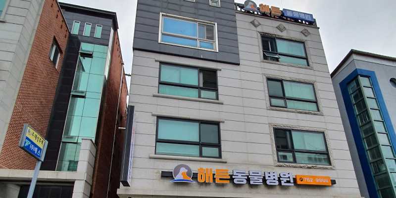 해든동물병원