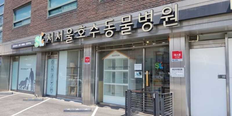 서서울호수동물병원