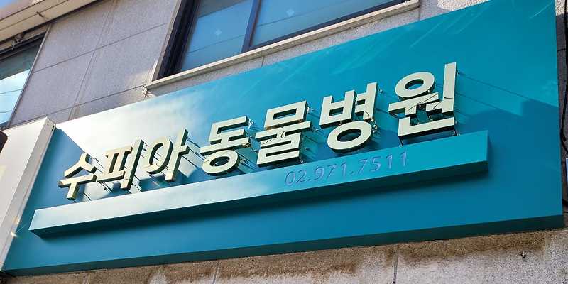 수피아동물병원