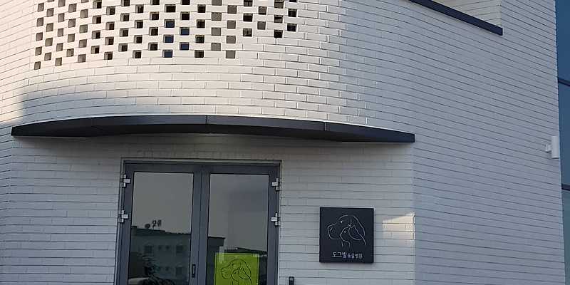 도그빌동물병원