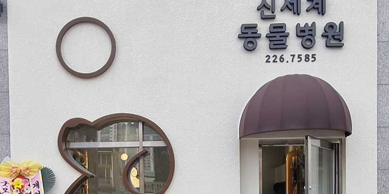 신세계동물병원