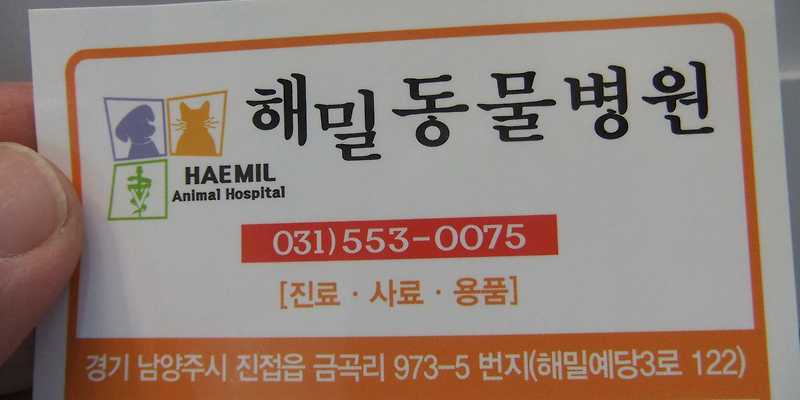 해밀동물병원