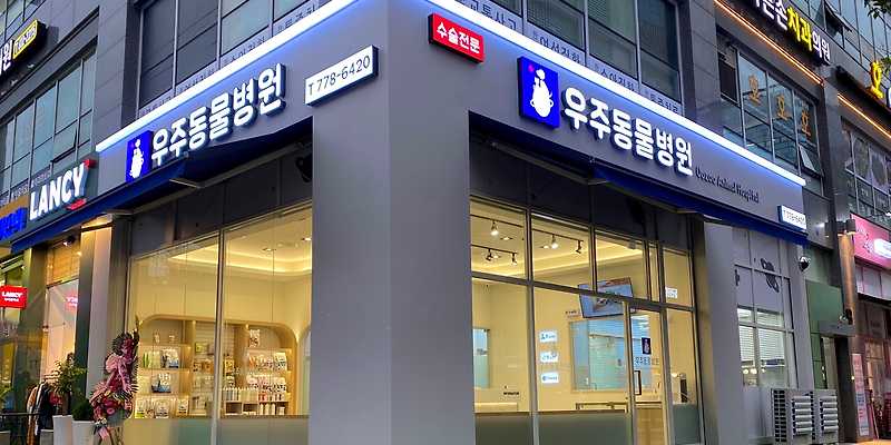 우주동물병원