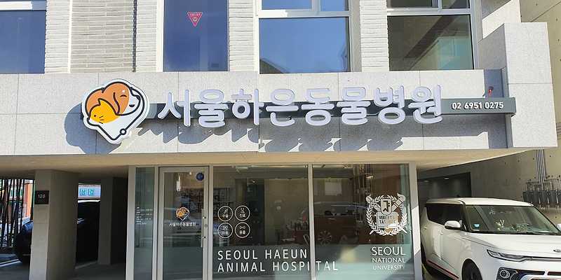 서울하은동물병원