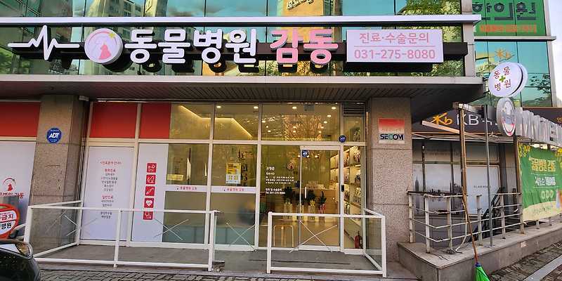 동물병원 감동