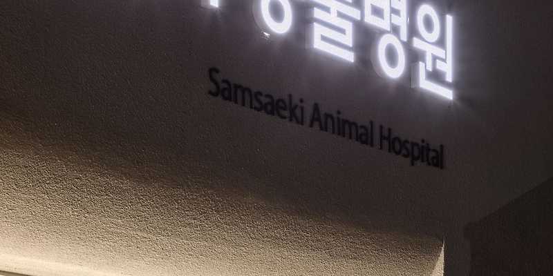 삼색이동물병원