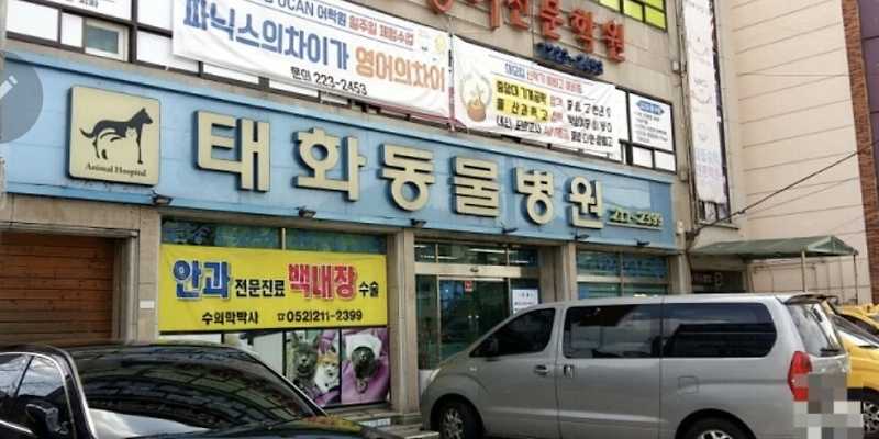 태화동물병원