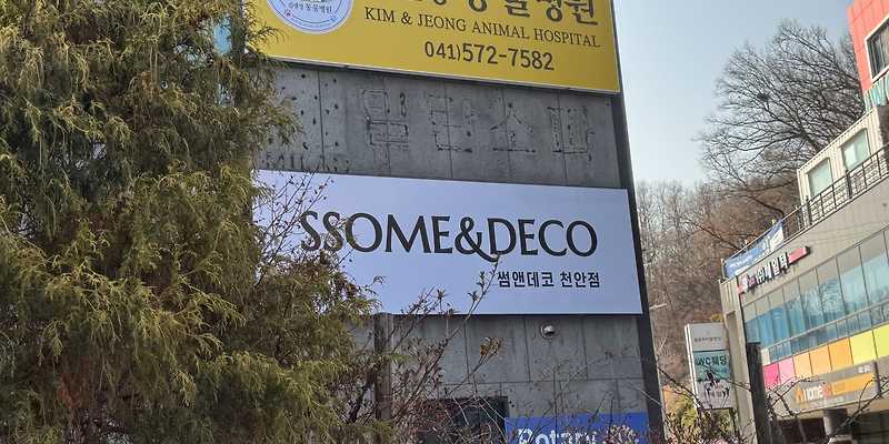 김앤정동물병원
