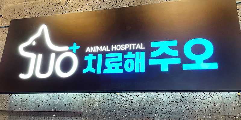 치료해주오