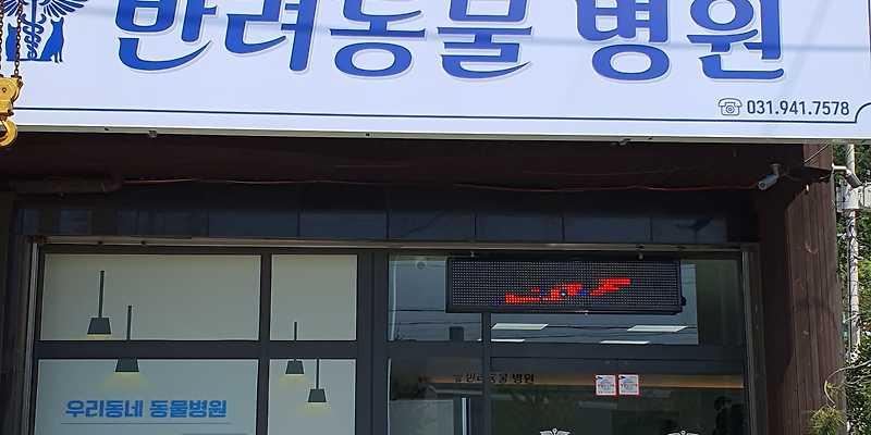 반려동물병원