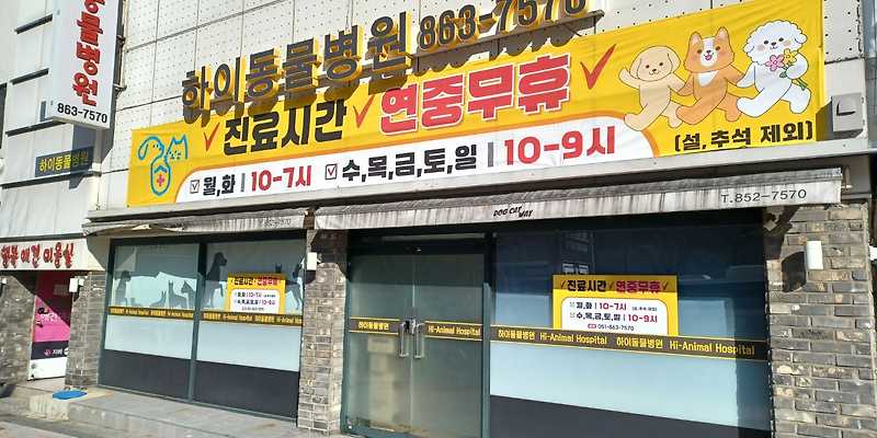 하이동물병원