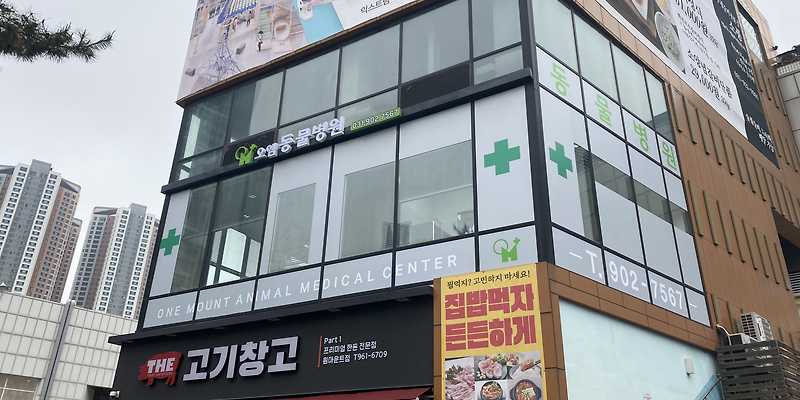 오엠동물병원