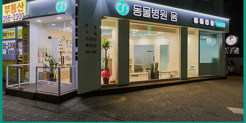 동물병원 움