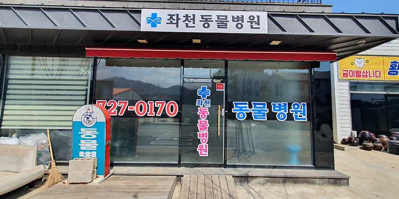 좌천동물병원