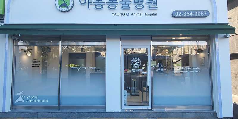 야옹동물병원