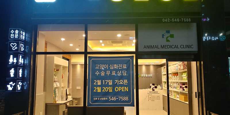 대전본동물병원