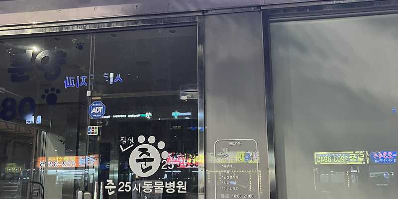 잠실준25시동물병원