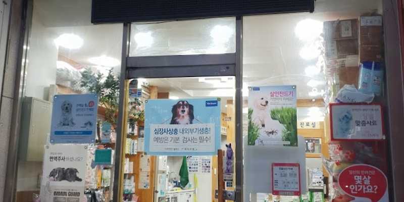 아마존 동물병원