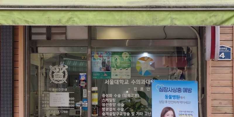사랑동물병원