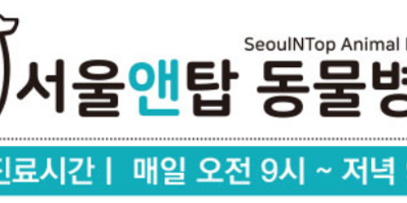 서울앤탑 동물병원