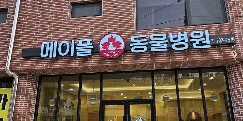 메이플동물병원