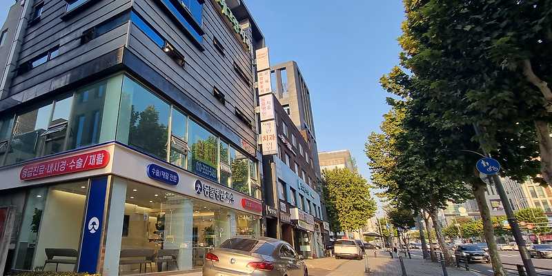 도곡 치유 동물병원