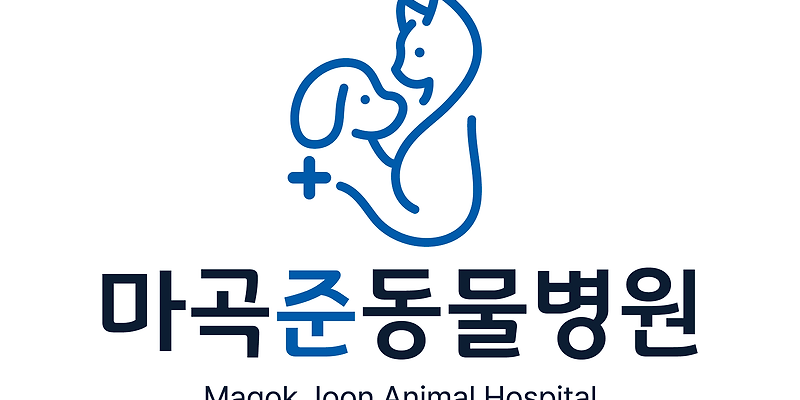 마곡준동물병원