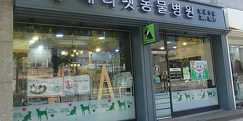 메디펫동물병원