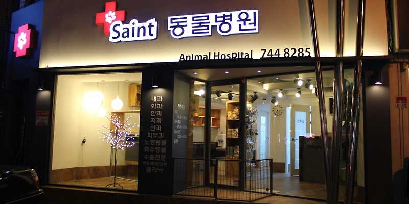 세인트동물병원