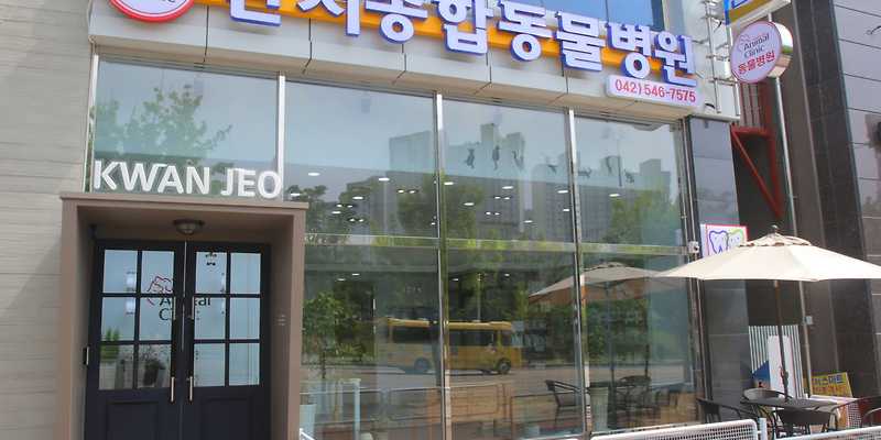관저종합동물병원