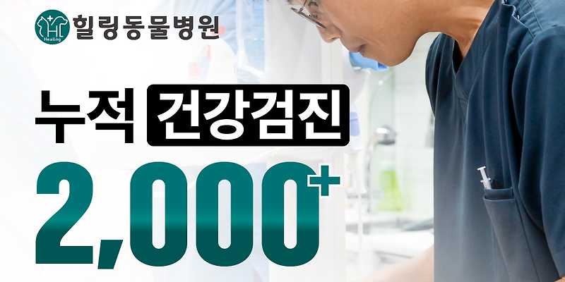 힐링동물병원 &  건강검진센터